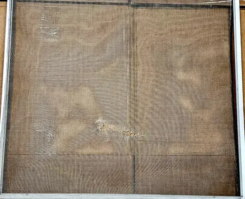 Damaged removable window screen with torn and frayed mesh