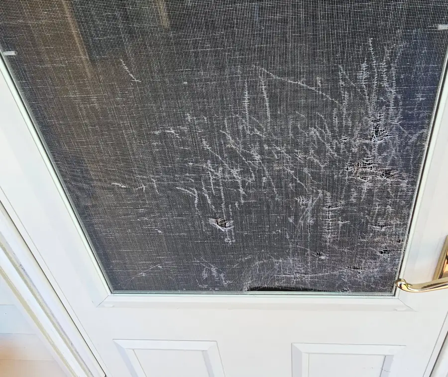 Damaged storm door screen with heavily torn mesh